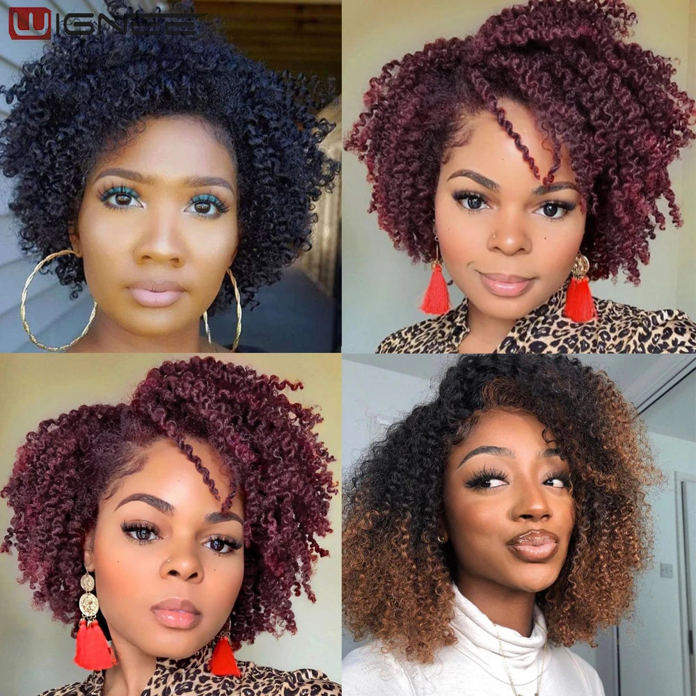 Ali Synthetic Hair Kinky Curly Wig Side Part Short Curly Hair Wig Synthetic Hair Cosplay Femme Womens Wigs Sale Burgundy Wig Side Part Black Wig